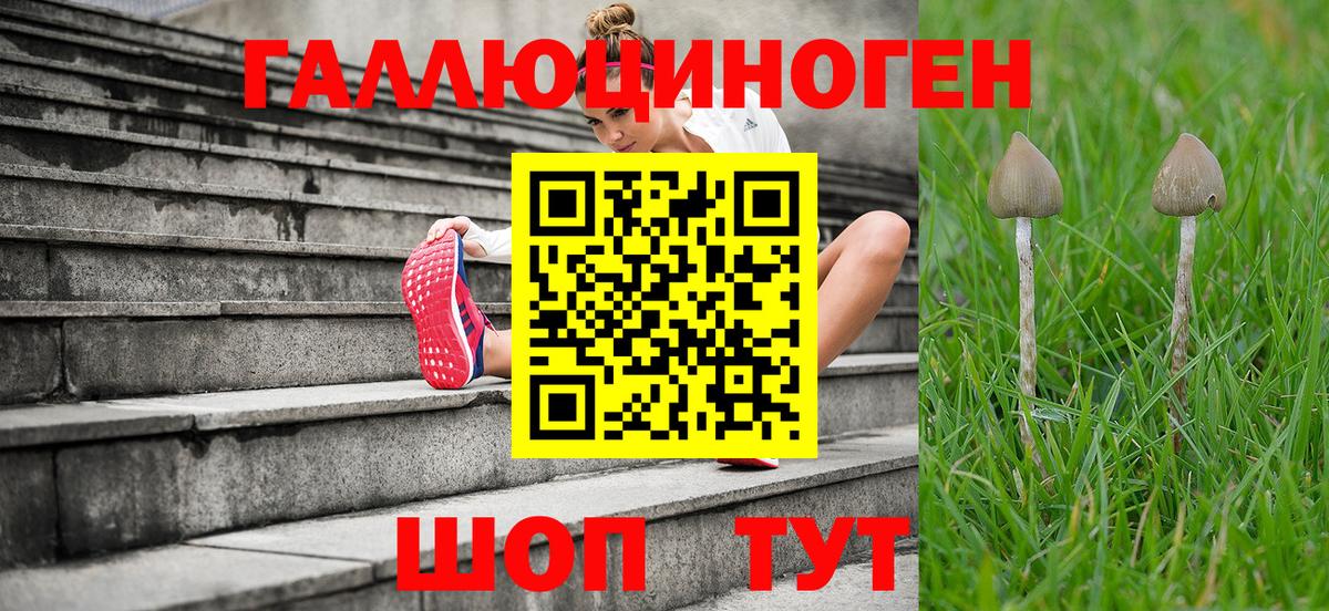 Галлюциногенные грибы GOLDEN TEACHER  Псилоцибиновые грибы мухоморы  Среднеуральск  Вход с VPN 
